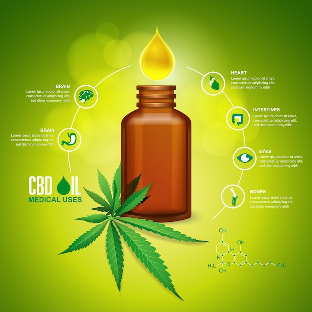 CBD Oil: A Holistic Approach to Anxiety Relief